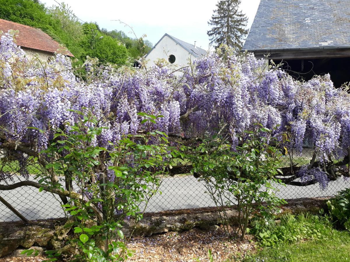 Village De Vie Saint-Vaury 외부 사진